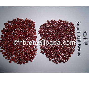 Low price Red adzuki bean